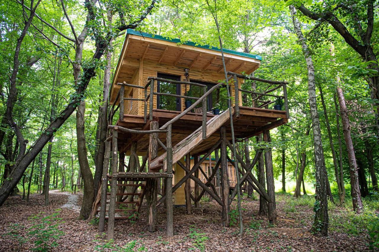Living Forest Resort Moravske-Toplice Buitenkant foto