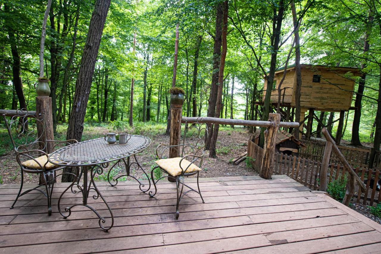 Living Forest Resort Moravske-Toplice Buitenkant foto