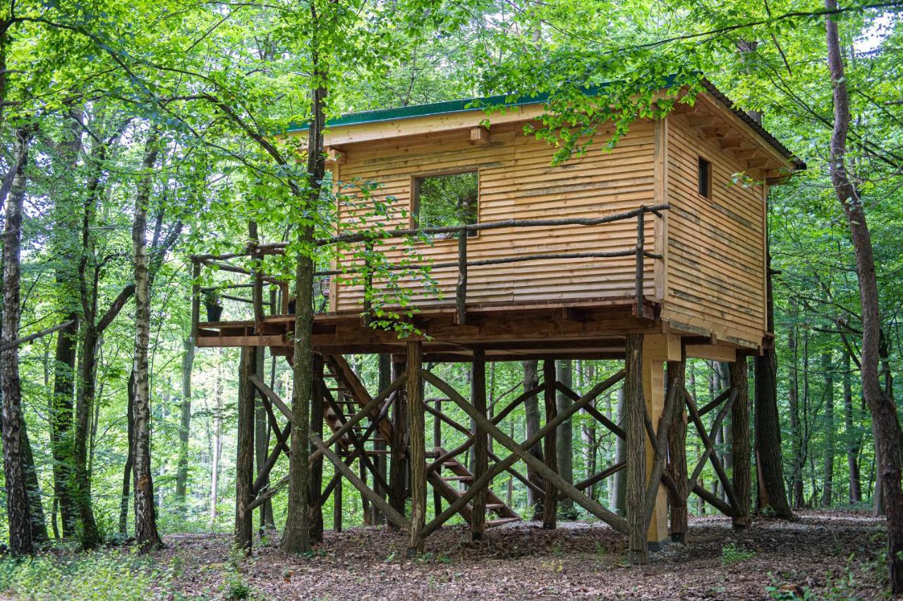 Living Forest Resort Moravske-Toplice Buitenkant foto