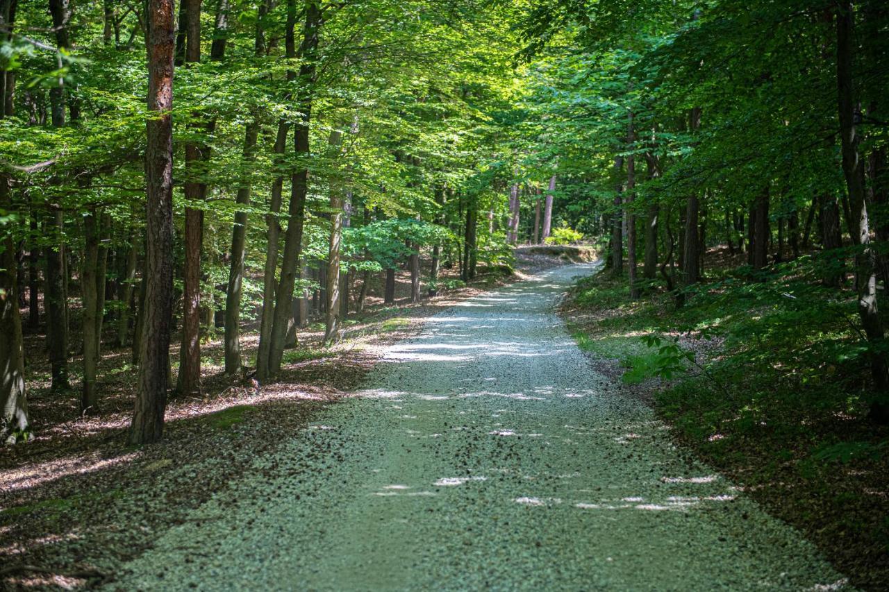 Living Forest Resort Moravske-Toplice Buitenkant foto