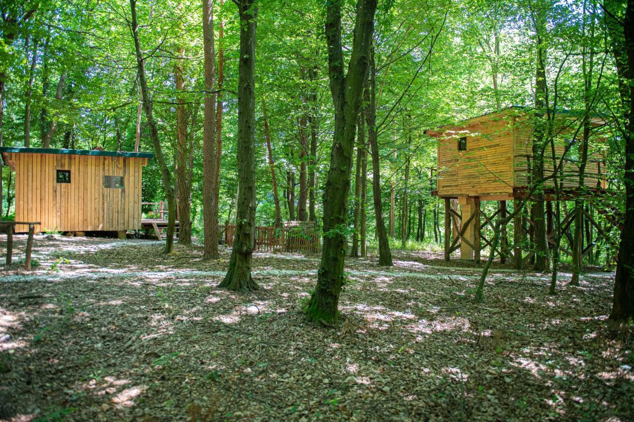 Living Forest Resort Moravske-Toplice Buitenkant foto