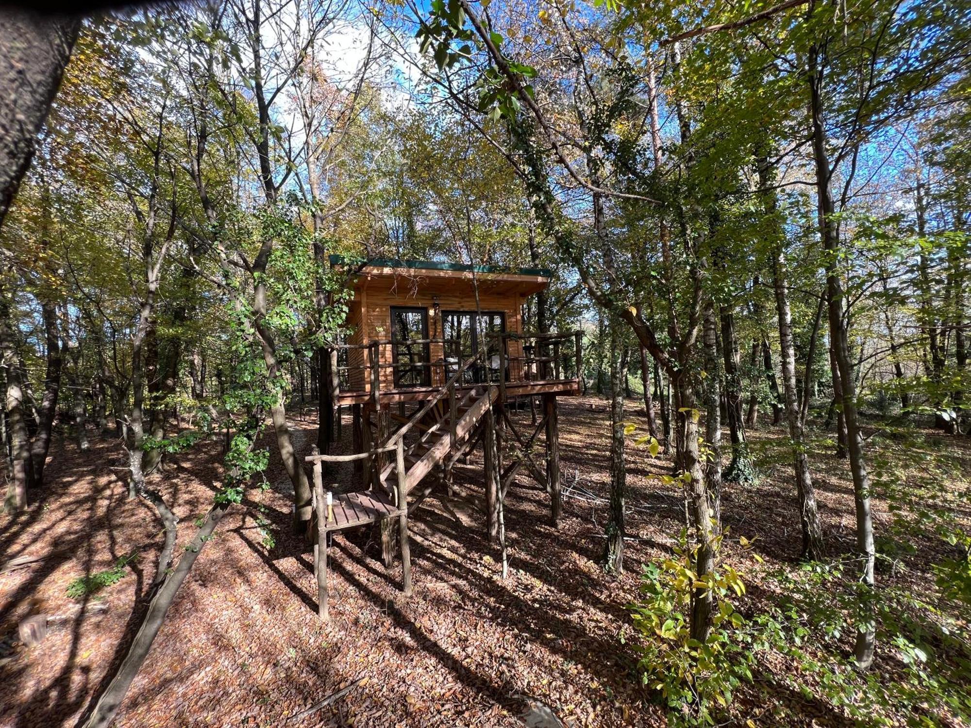 Living Forest Resort Moravske-Toplice Kamer foto